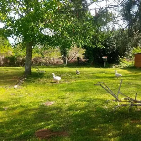 Landaise * Pouydesseaux