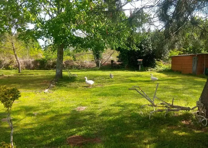 Landaise * Pouydesseaux